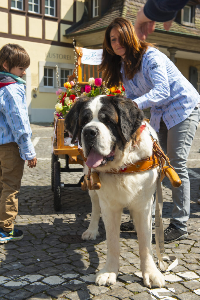 www.schickfotos.chphilip.schick