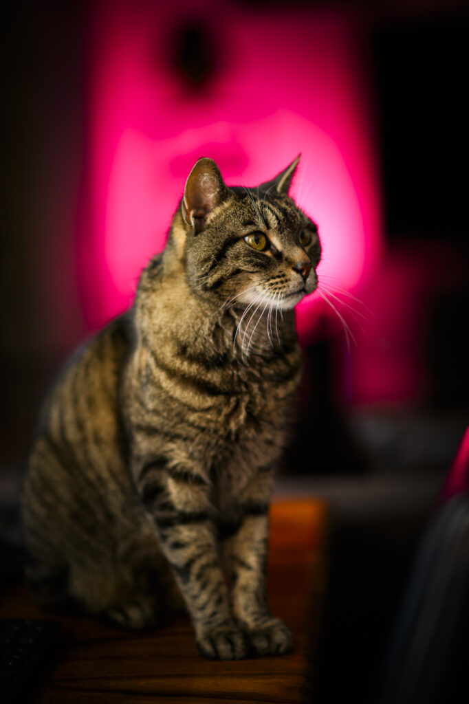 2024-01-17_Herde_013