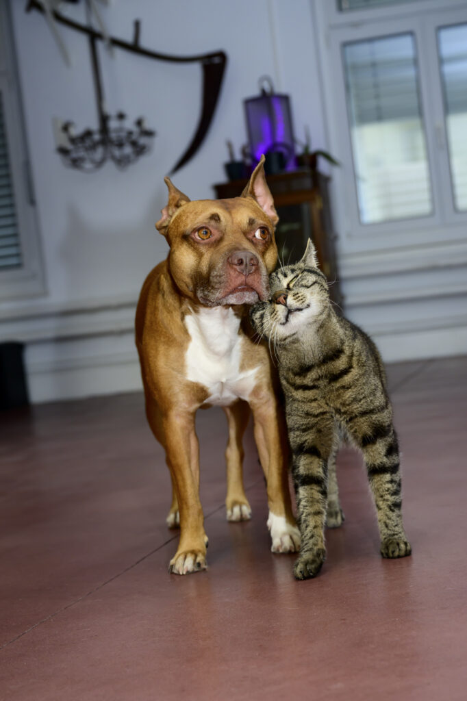 2024-03-23_Herde_029-Bearbeitet