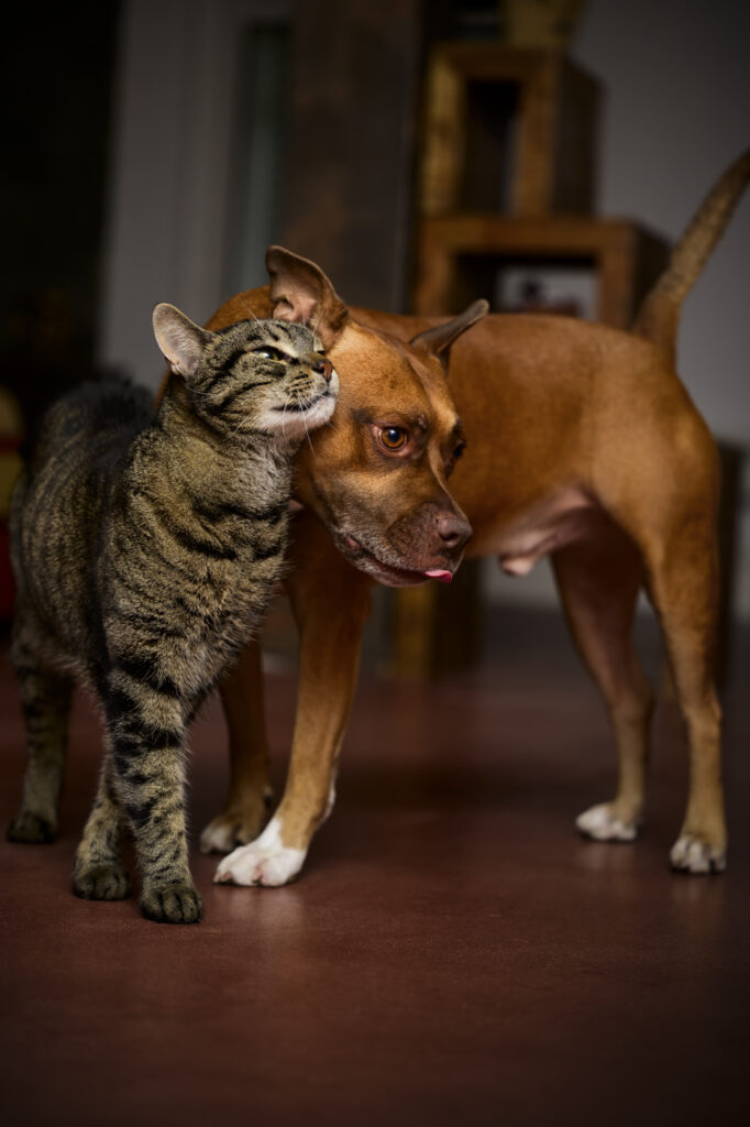 2024-10-01_Herde_026-Bearbeitet