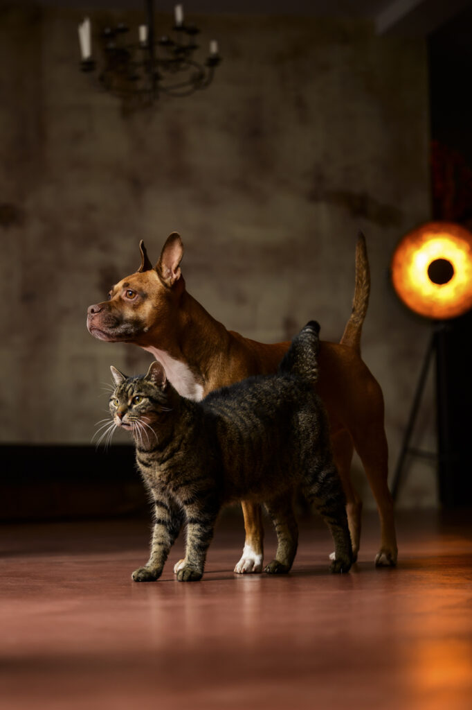 2024-10-01_Herde_030-Bearbeitet