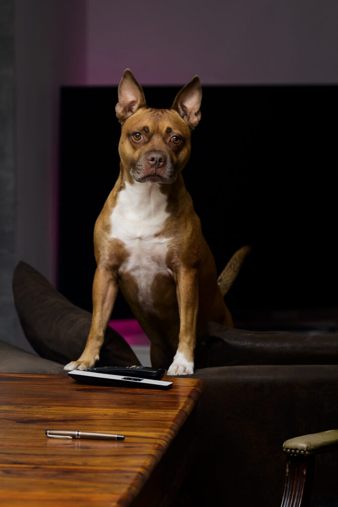 2024-10-01_Herde_059-Bearbeitet