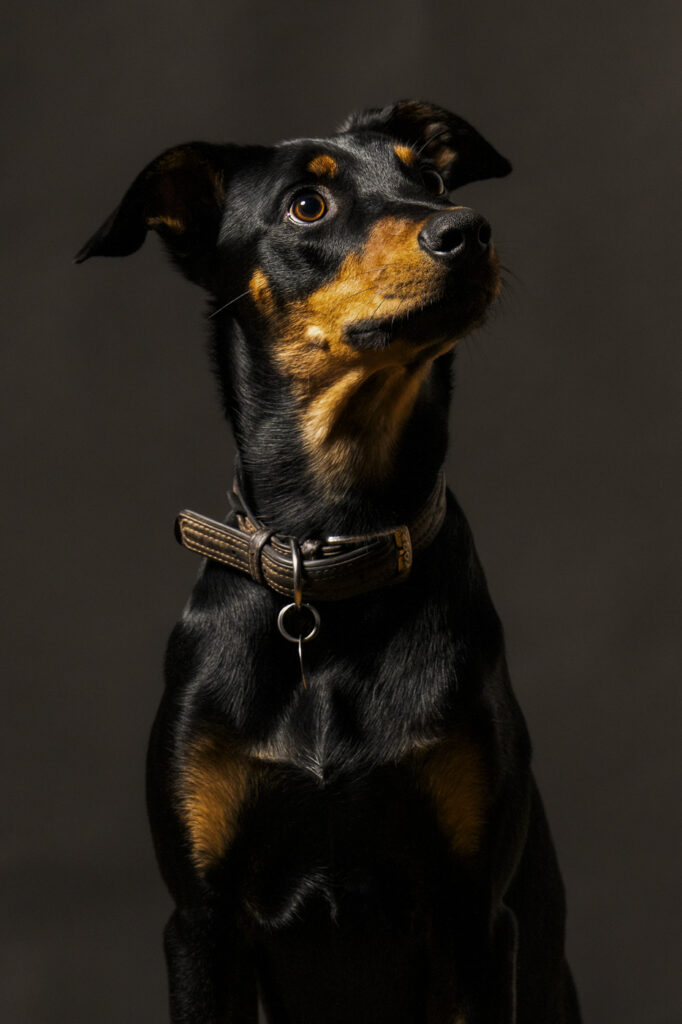 2025-02-08_Caramello_04_CalimeroStudio_201-Bearbeitet