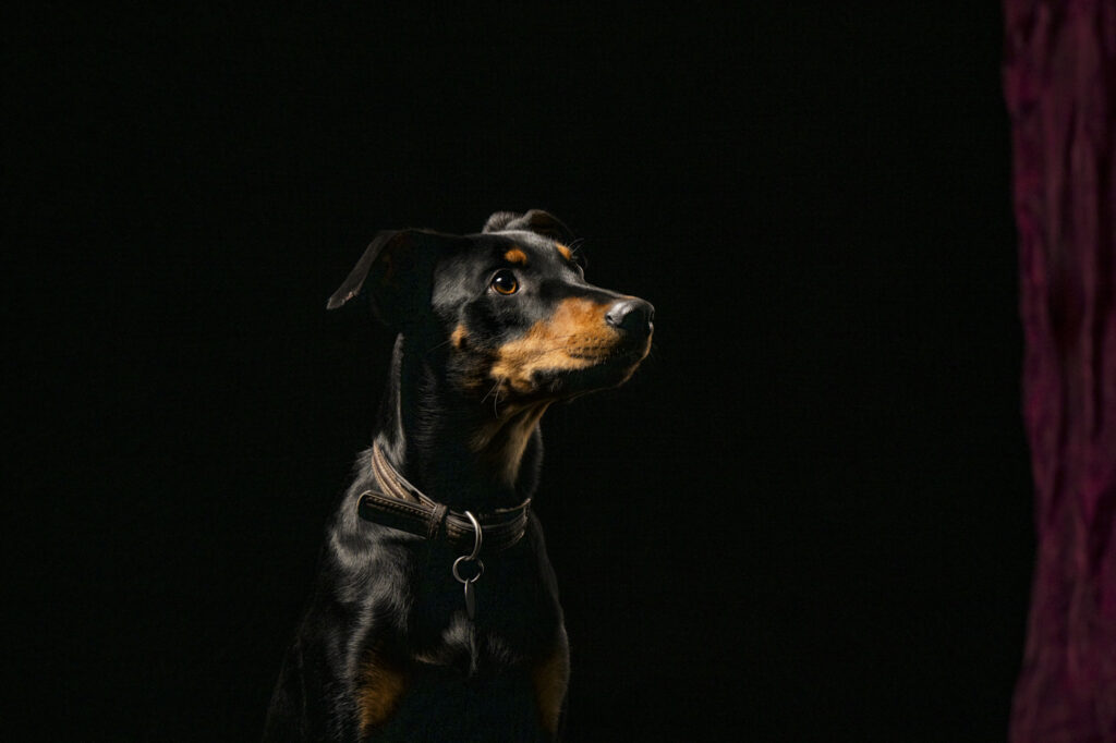 2025-02-08_Caramello_04_CalimeroStudio_203-Bearbeitet