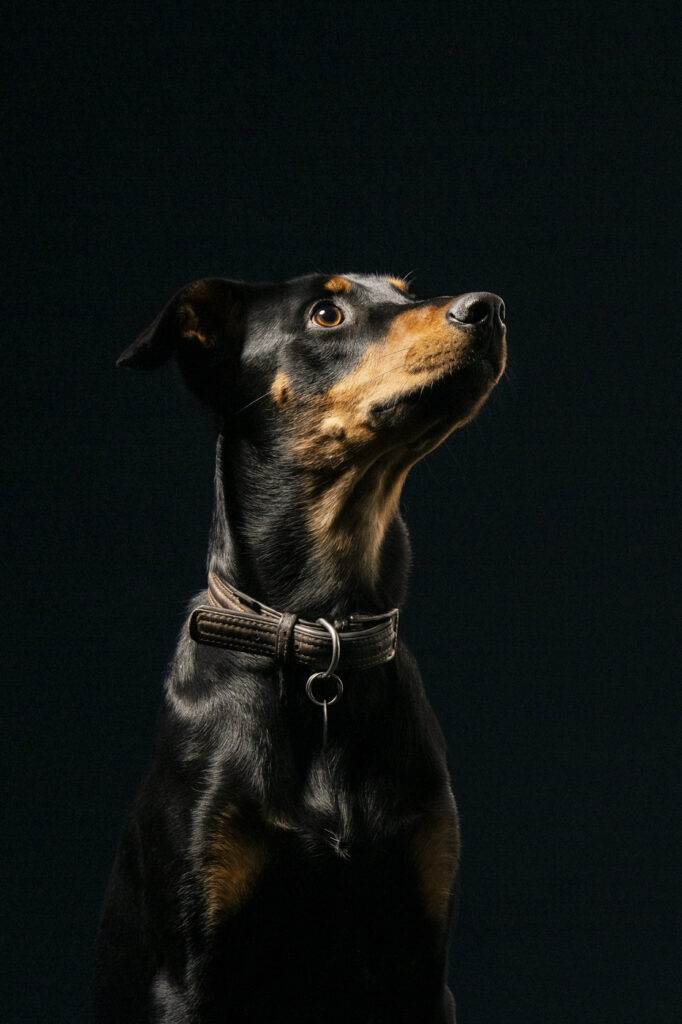 2025-02-08_Caramello_04_CalimeroStudio_205-Bearbeitet