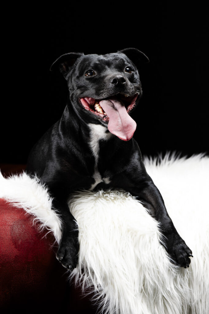 2025-02-09_Herr&FrauSchick_2025-02-12-AdélineAndTheGang_119-Bearbeitet