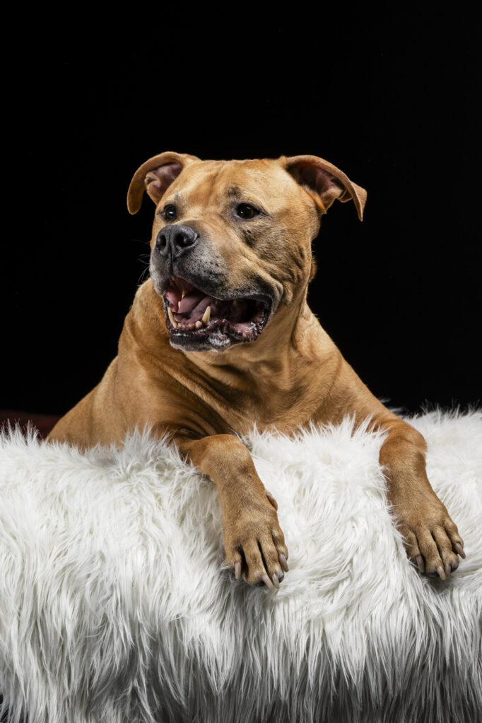 2025-02-09_Herr&FrauSchick_2025-02-12-AdélineAndTheGang_135-Bearbeitet