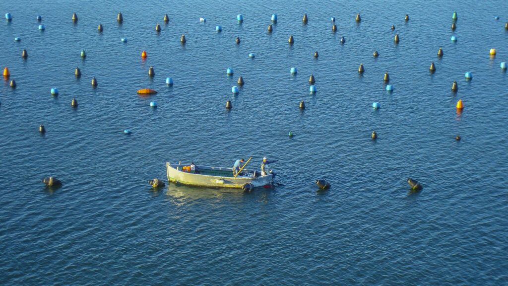 2006-08-30_Sardinien_003