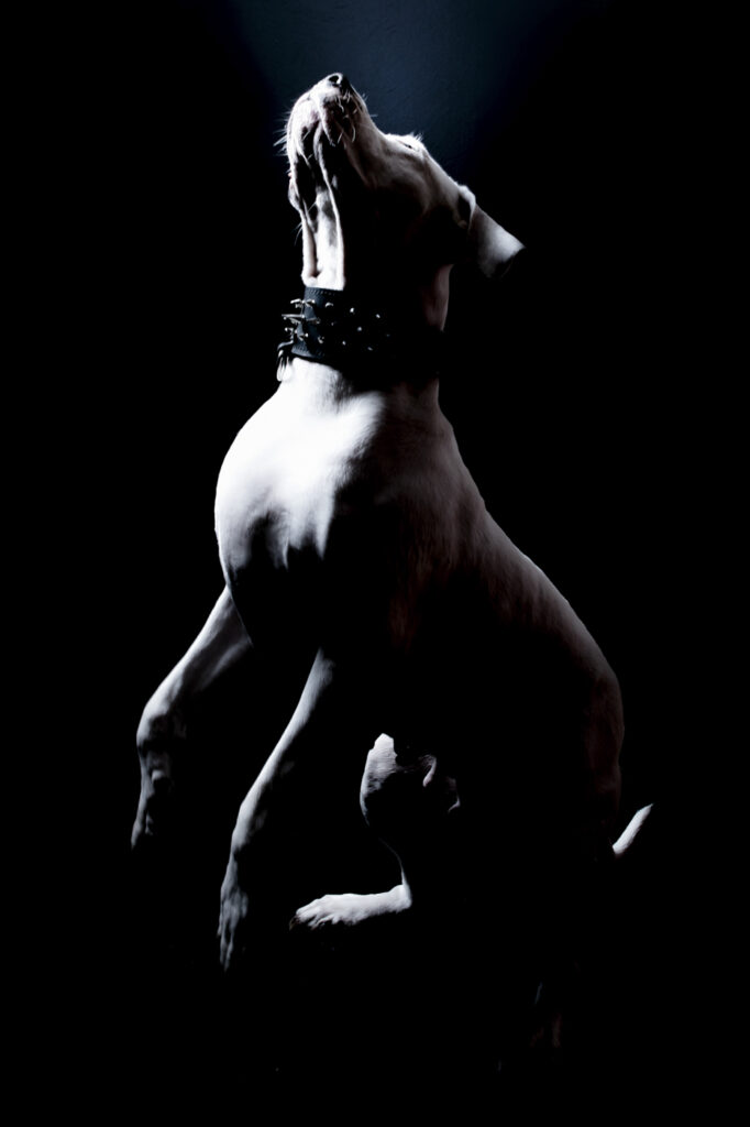 www.schickfotos.chphilip.schick
