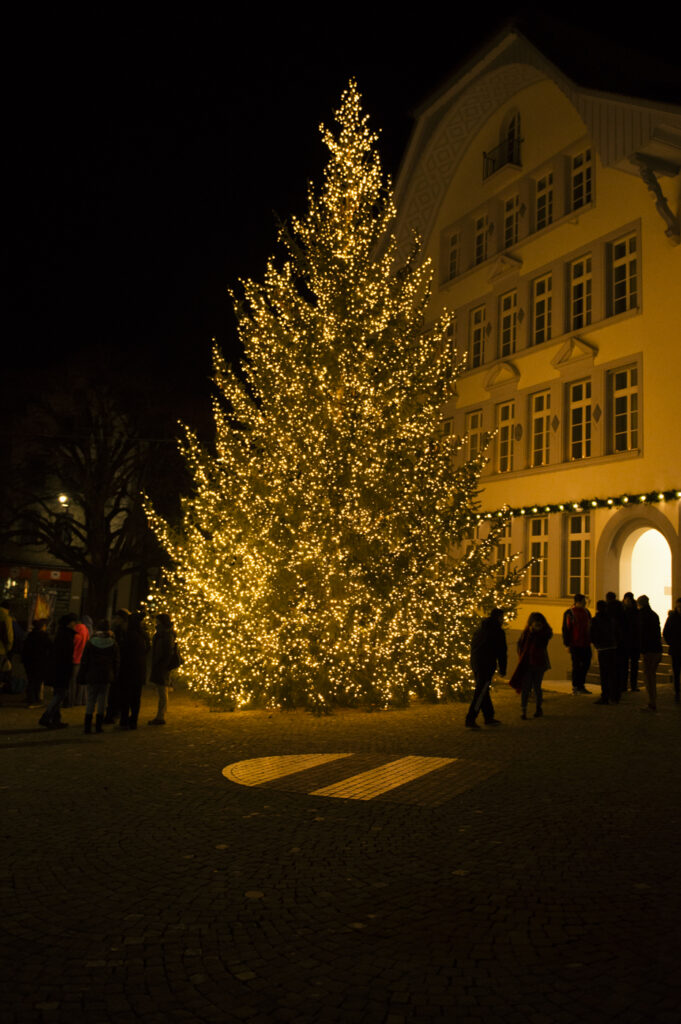 www.schickfotos.chphilip.schick