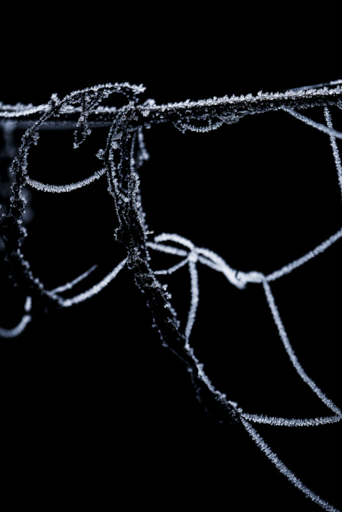 www.schickfotos.chphilip.schick