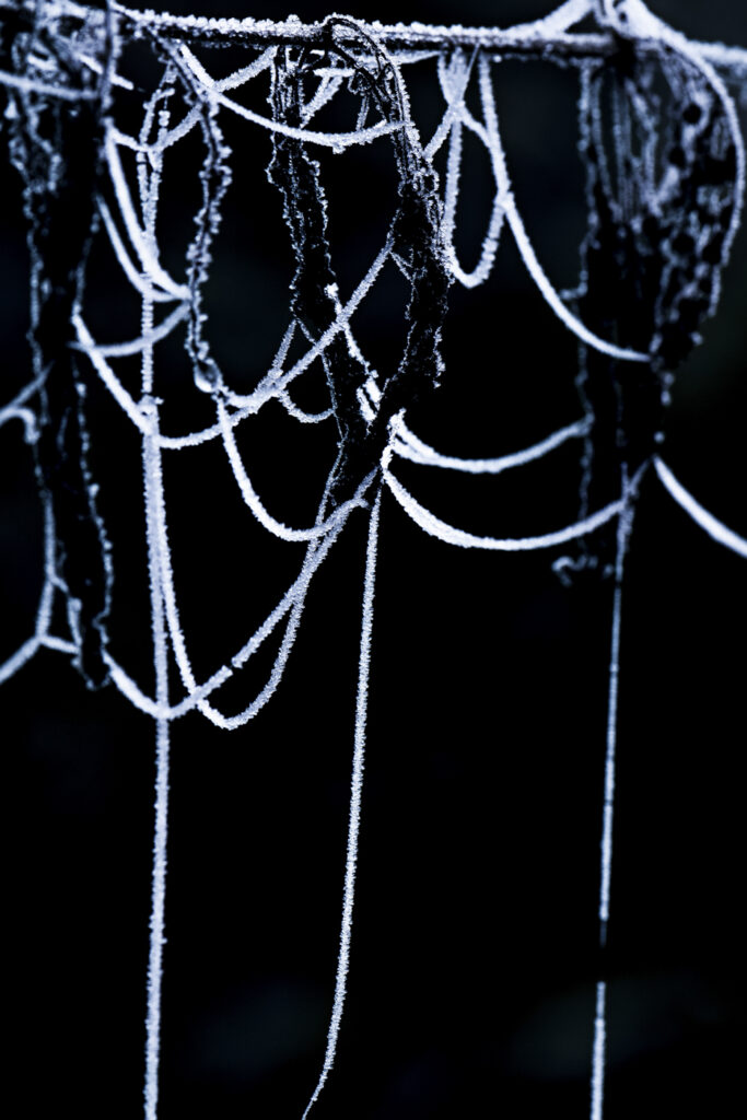 www.schickfotos.chphilip.schick