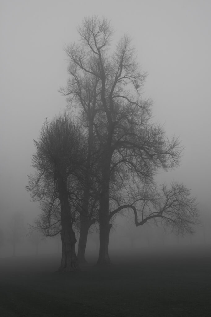 www.schickfotos.chphilip.schick