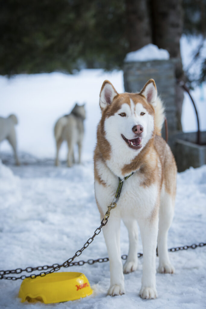 2019-03-09_GreenHope_1573