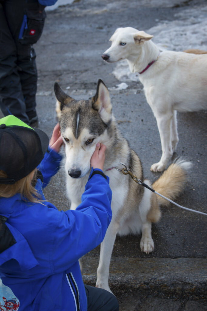 2019-03-09_GreenHope_1605