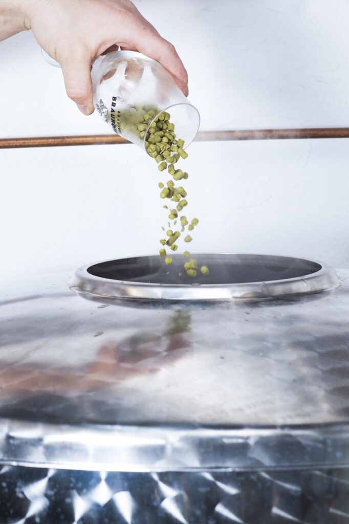 2021-04-04_Brauerei-Brauhofer_494import