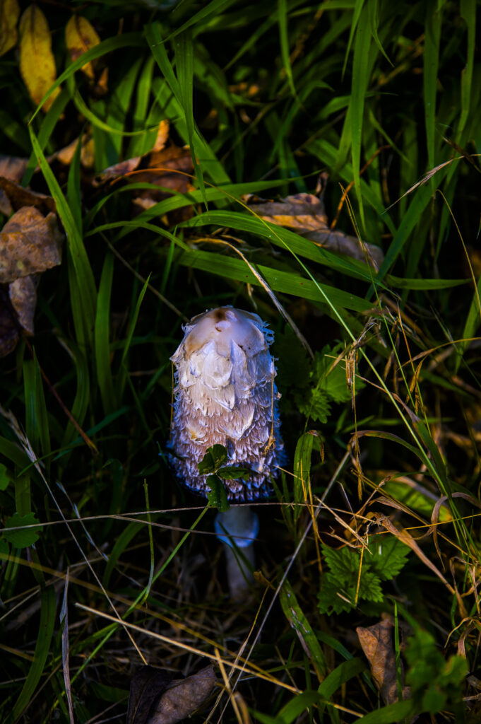 2021-10-10_Natur&OnTour_015