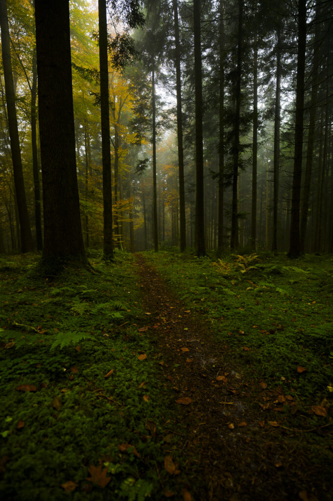 2021-10-29_SpottingmitStefanGing_002