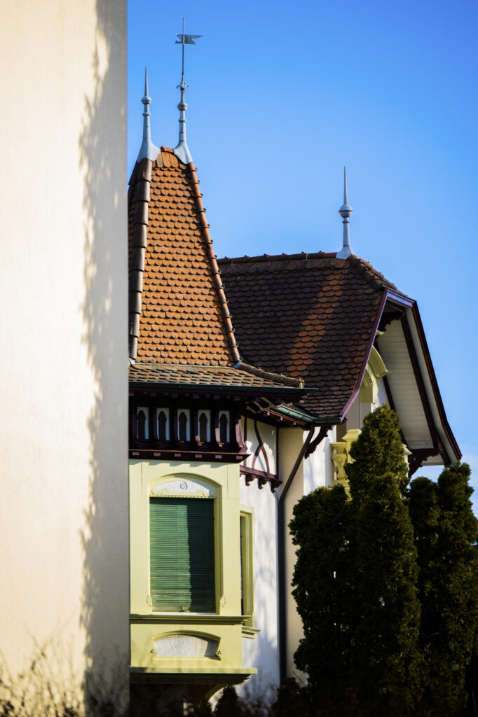 2023-02-19_Spaziergang_Wiggere_010import