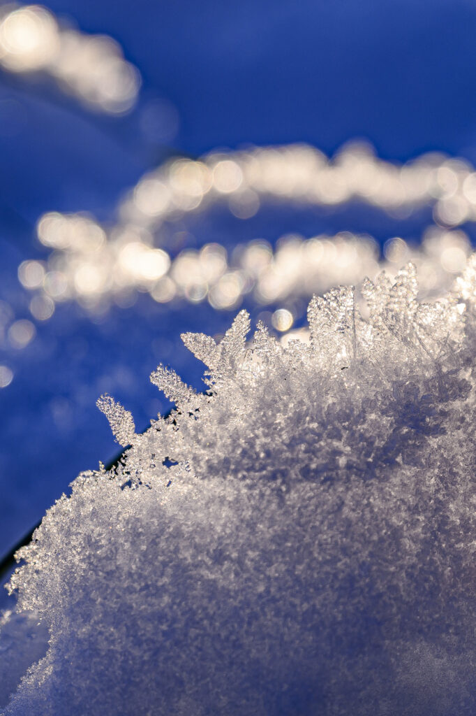 2024-01-20_Winterspaziergang_154