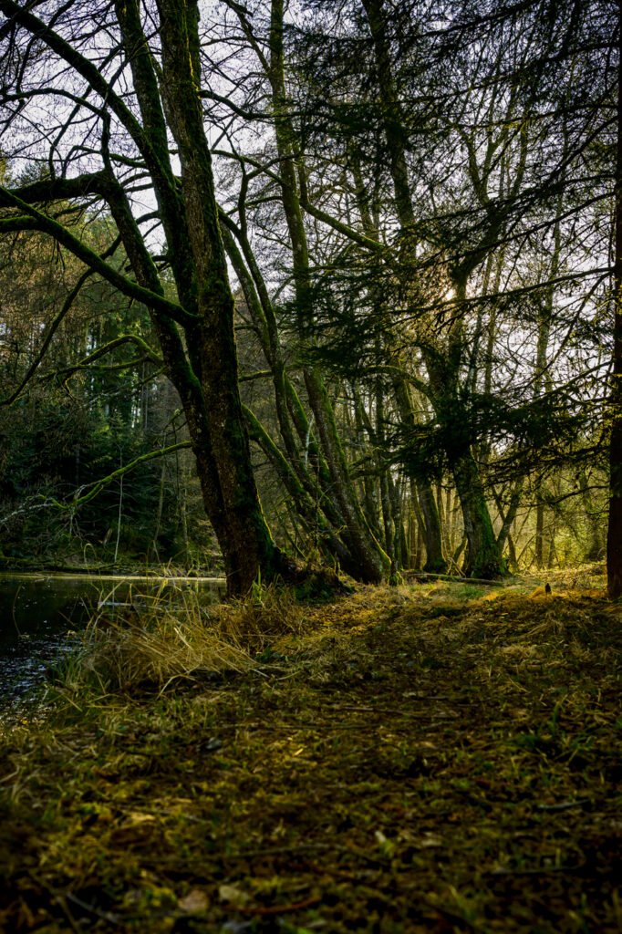 2024-02-13_Naturschutzgebiet_004