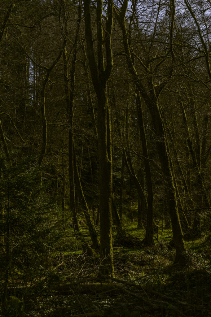 2024-03-22_Spaziergang_031